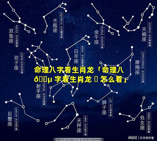 命理八字看生肖龙「命理八 🐵 字看生肖龙 ☘ 怎么看」